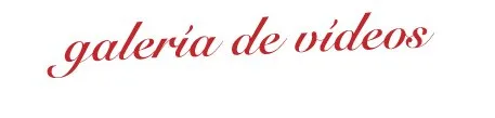 Galería de vídeos